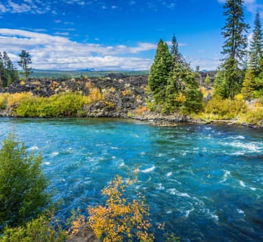 clear and lush river
